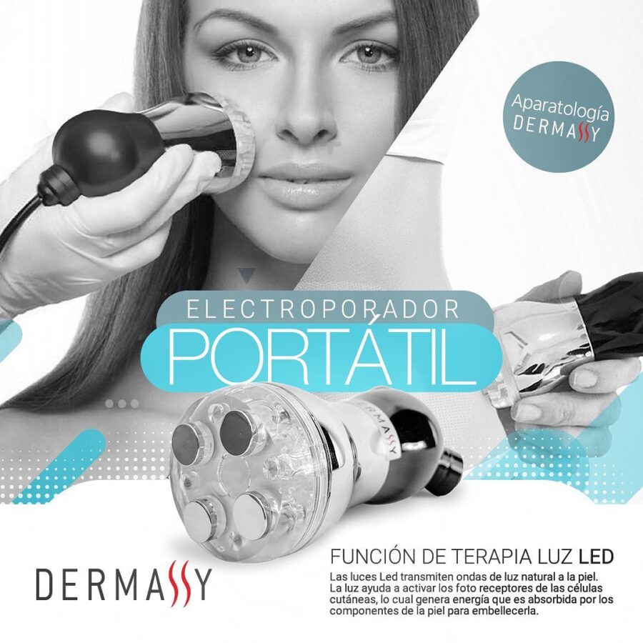 Electroporador portátil