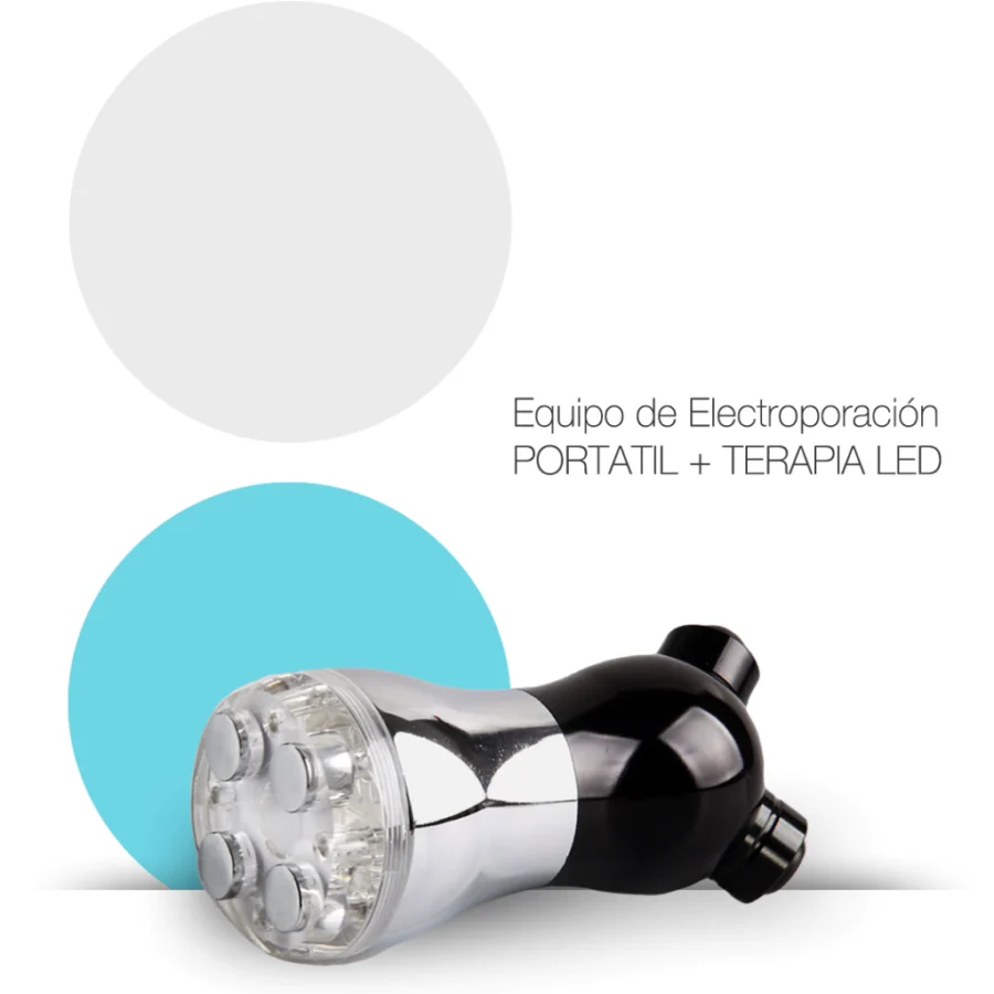 Electroporador portátil - Imagen 2