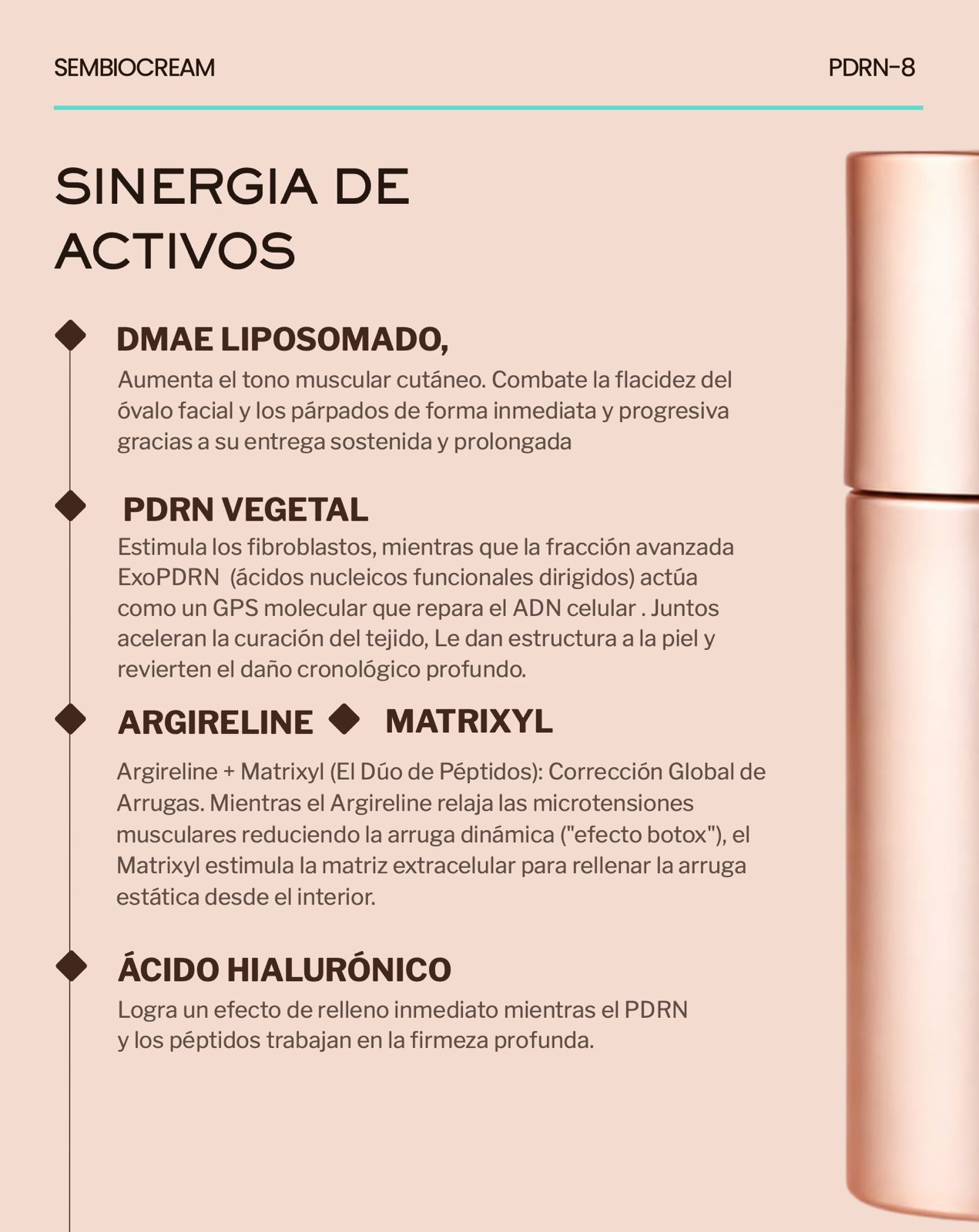PDRN-8 - Imagen 2